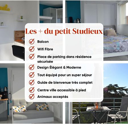 Le Petit Studieux - Parking - Animaux Acceptes - Centre Ville Accessible A Pied Алби Екстериор снимка