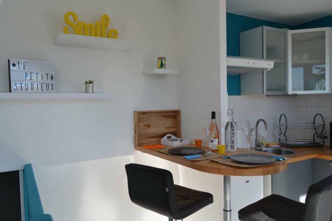 Le Petit Studieux - Parking - Animaux Acceptes - Centre Ville Accessible A Pied Алби Екстериор снимка