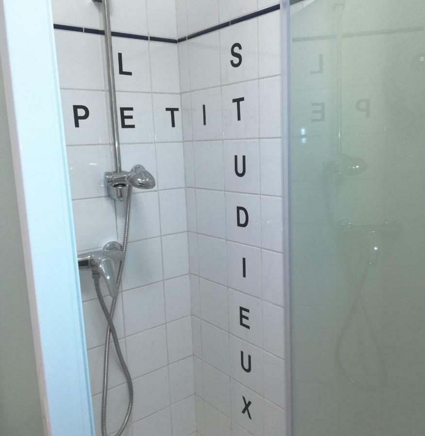 Le Petit Studieux - Parking - Animaux Acceptes - Centre Ville Accessible A Pied Алби Екстериор снимка