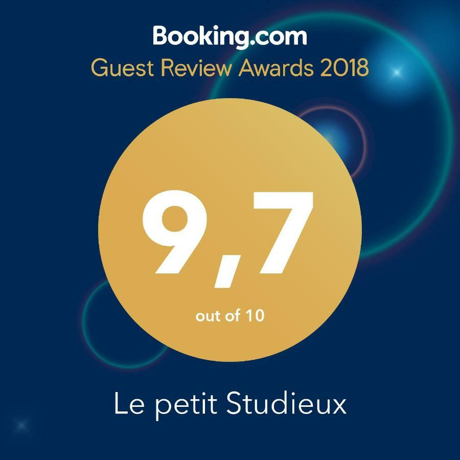 Le Petit Studieux - Parking - Animaux Acceptes - Centre Ville Accessible A Pied Алби Екстериор снимка